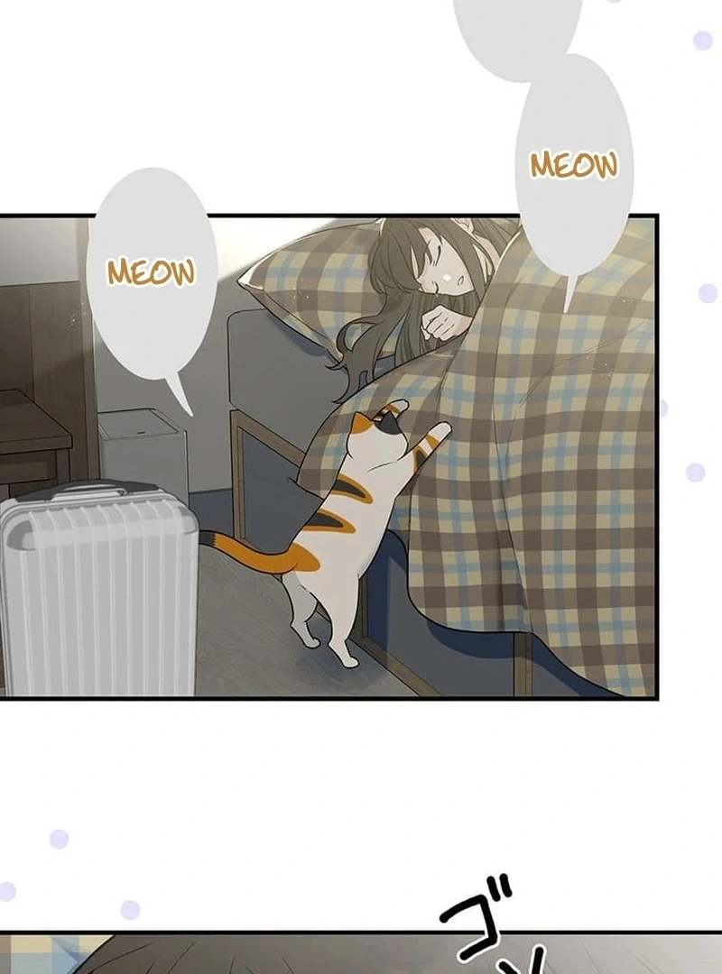 Living with My Favorite Person is Too Precious Chapter 1 - page 3