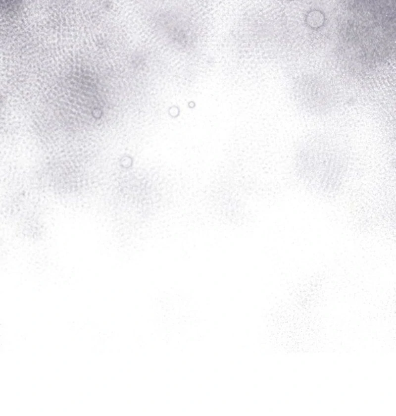 If You Pick Up a Suspicious Pushover Chapter 15 - page 145