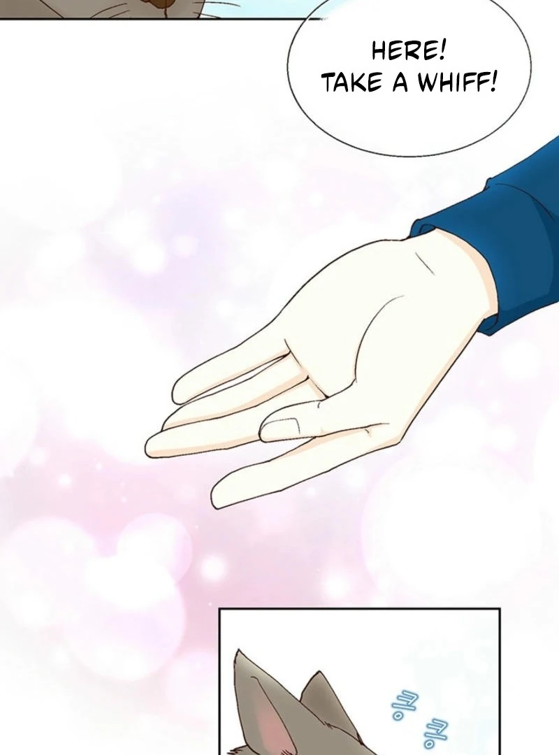 The Moment of Love Chapter 1 - page 11