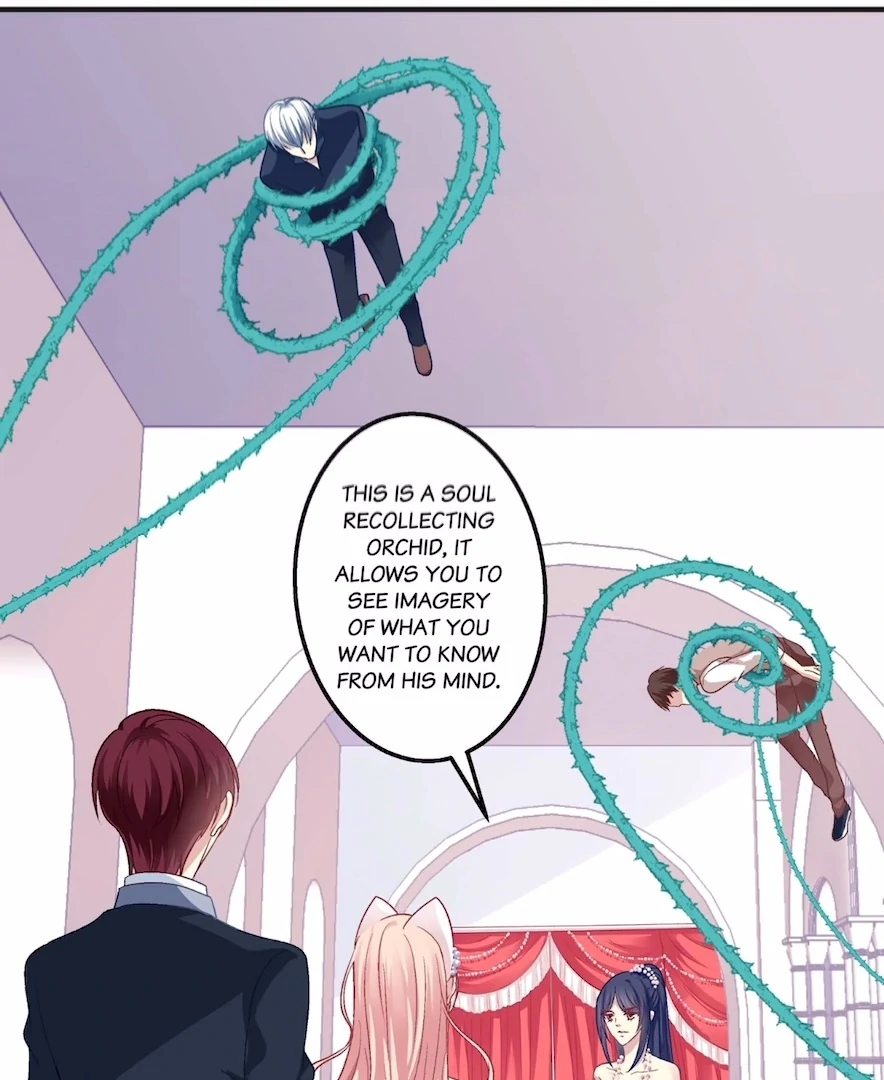 The Temptation of a Cat Demon Chapter 131 - page 5