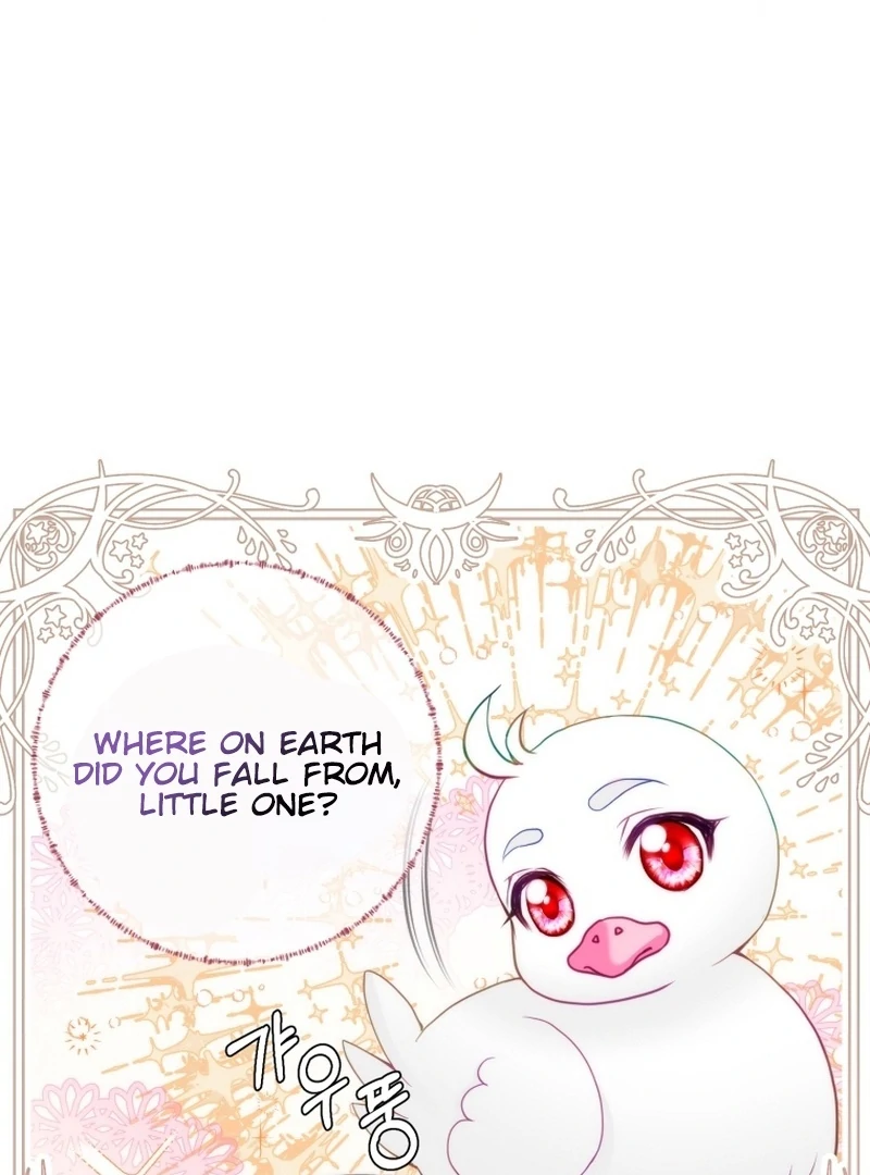 I Became The Black Swan Mother of The White Swan Princess Chapter 4 - page 19