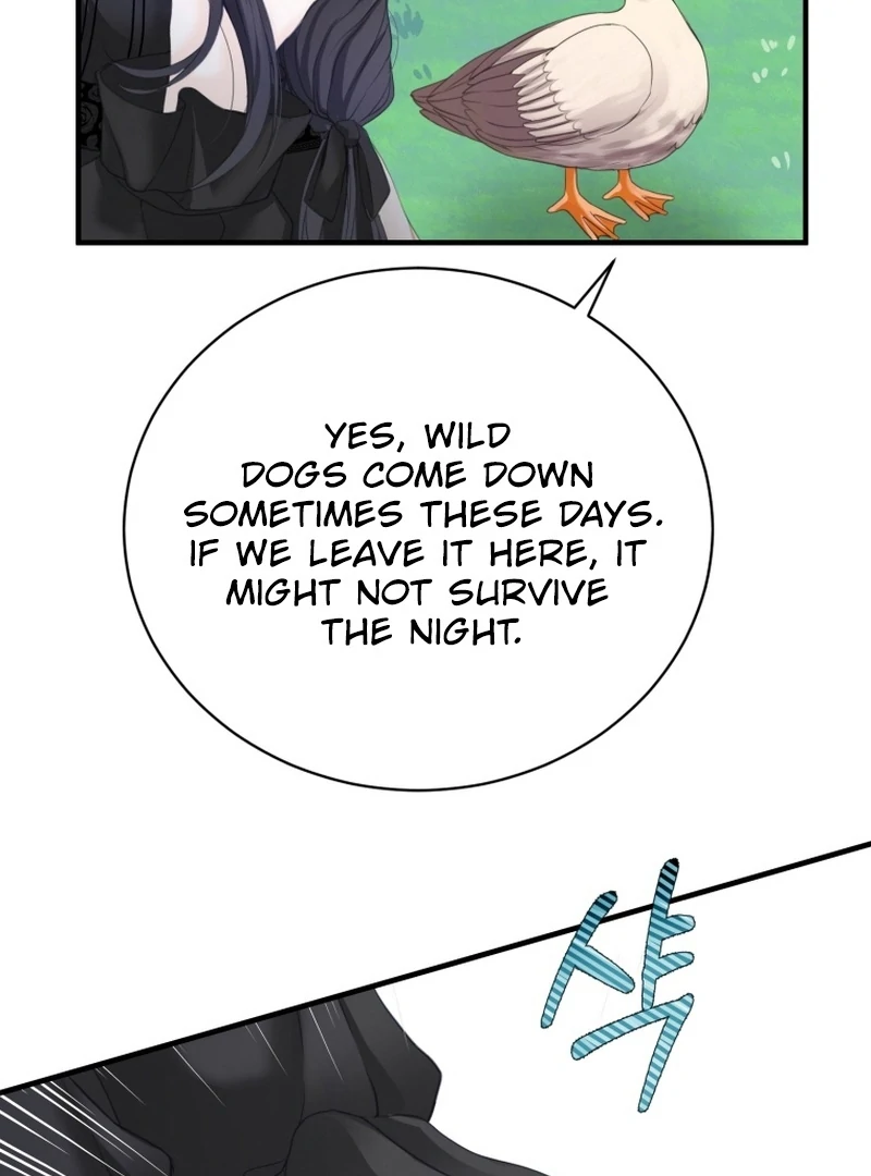 I Became The Black Swan Mother of The White Swan Princess Chapter 4 - page 27