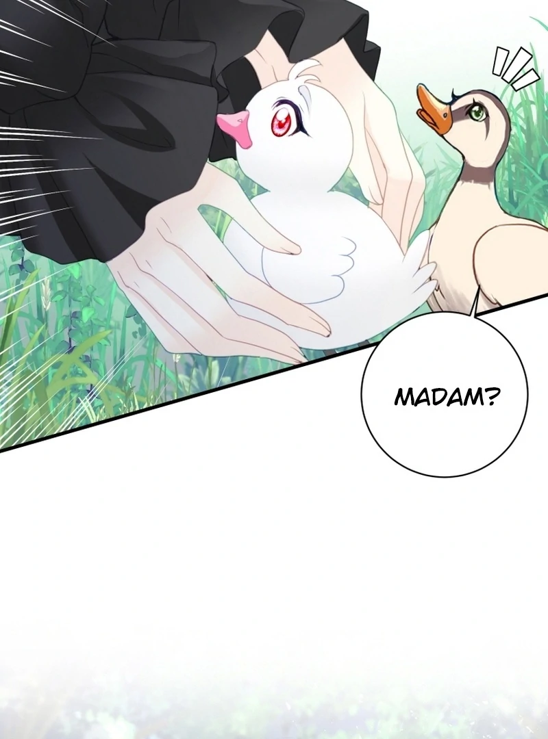 I Became The Black Swan Mother of The White Swan Princess Chapter 4 - page 28