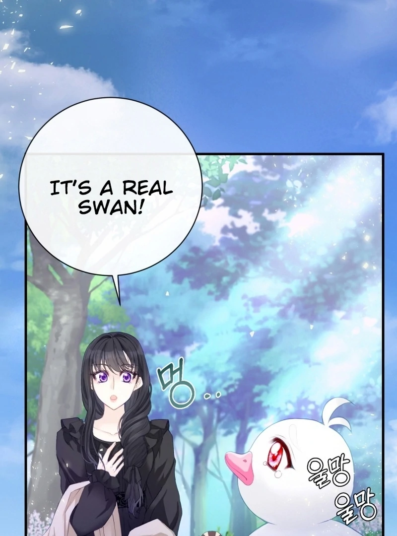I Became The Black Swan Mother of The White Swan Princess Chapter 4 - page 3