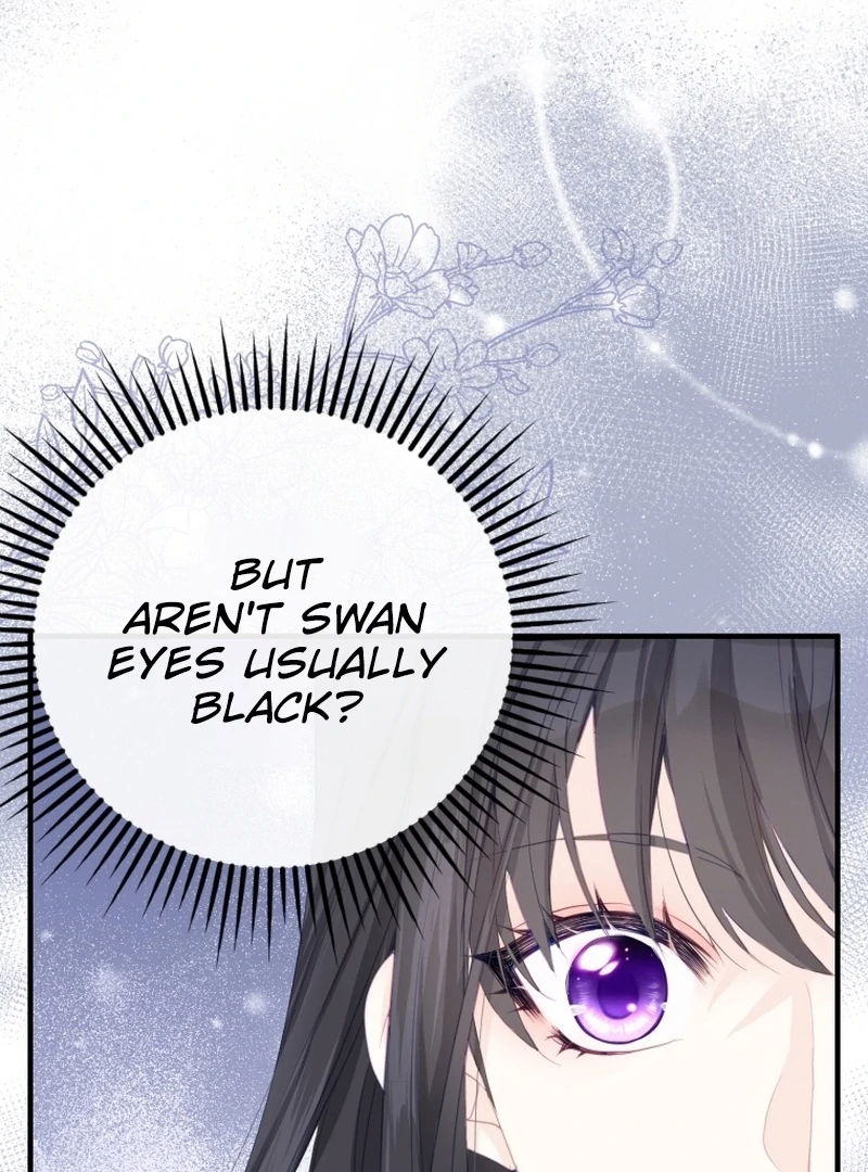 I Became The Black Swan Mother of The White Swan Princess Chapter 4 - page 46