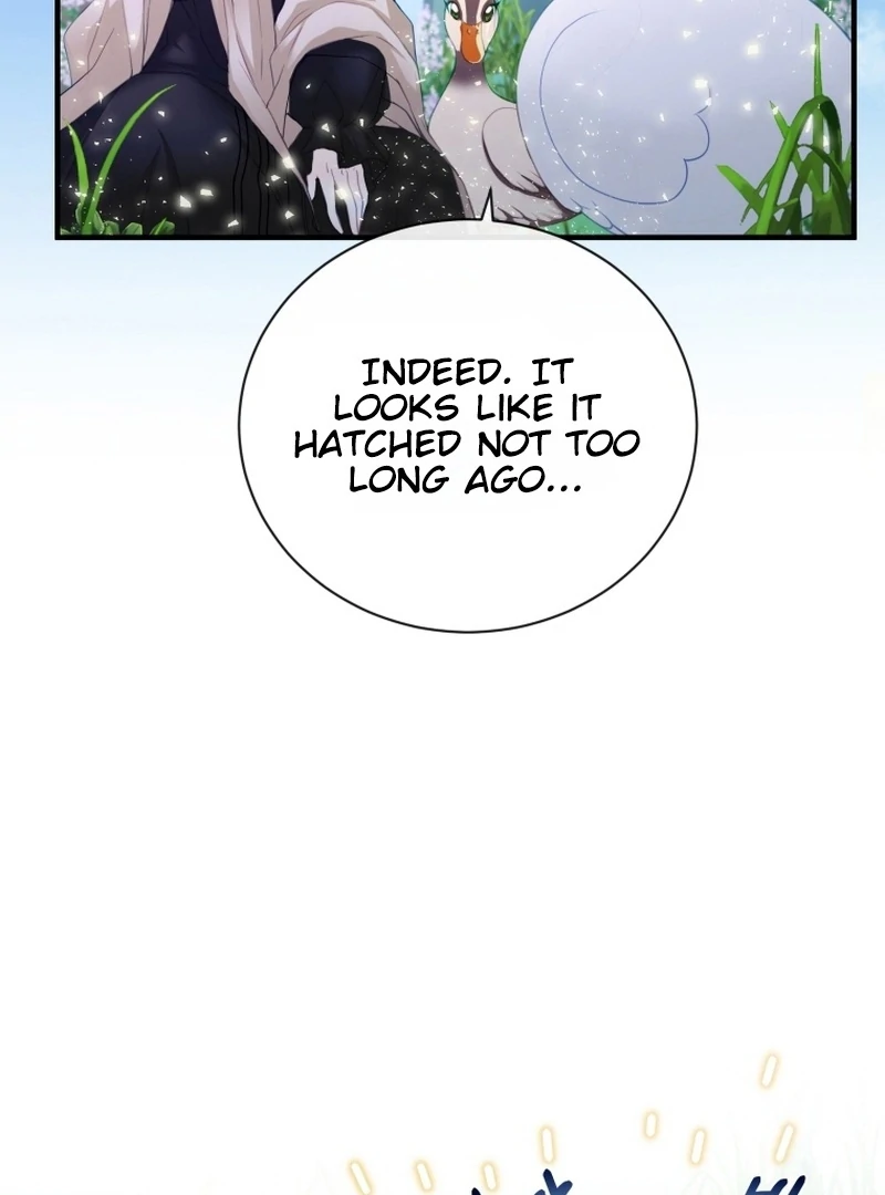 I Became The Black Swan Mother of The White Swan Princess Chapter 4 - page 4