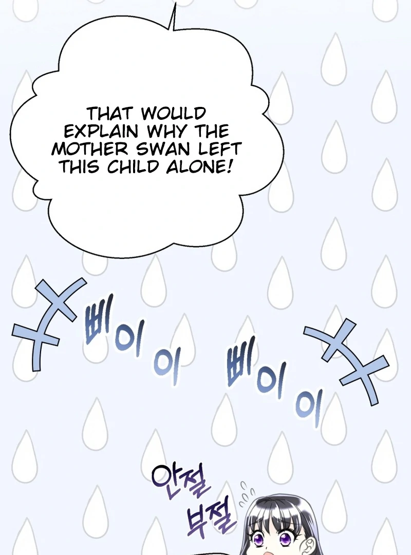 I Became The Black Swan Mother of The White Swan Princess Chapter 4 - page 51