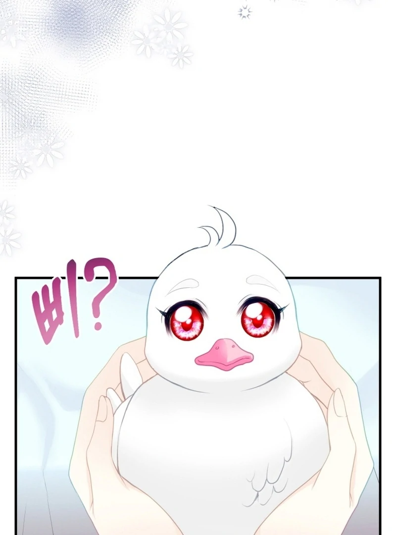 I Became The Black Swan Mother of The White Swan Princess Chapter 4 - page 57