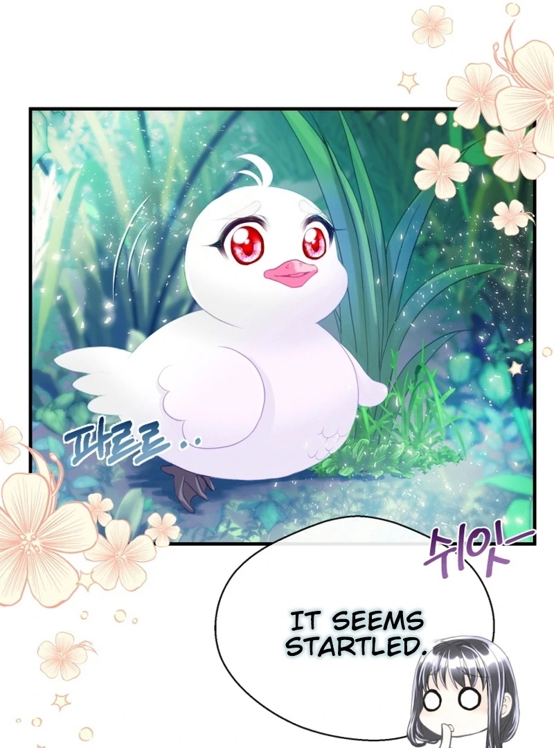 I Became The Black Swan Mother of The White Swan Princess Chapter 4 - page 7