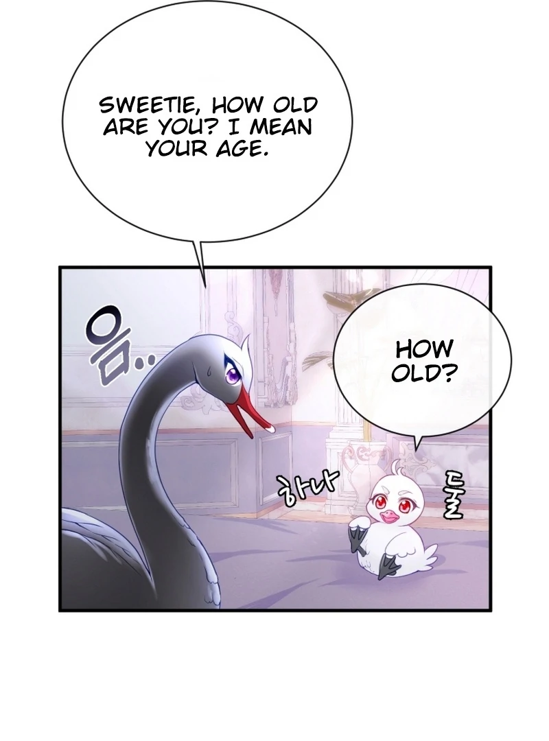 I Became The Black Swan Mother of The White Swan Princess Chapter 5 - page 13
