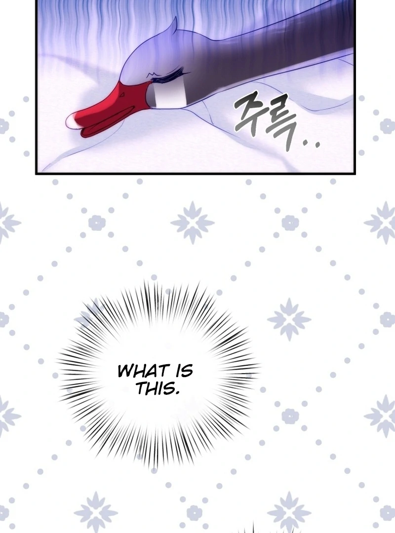 I Became The Black Swan Mother of The White Swan Princess Chapter 5 - page 16