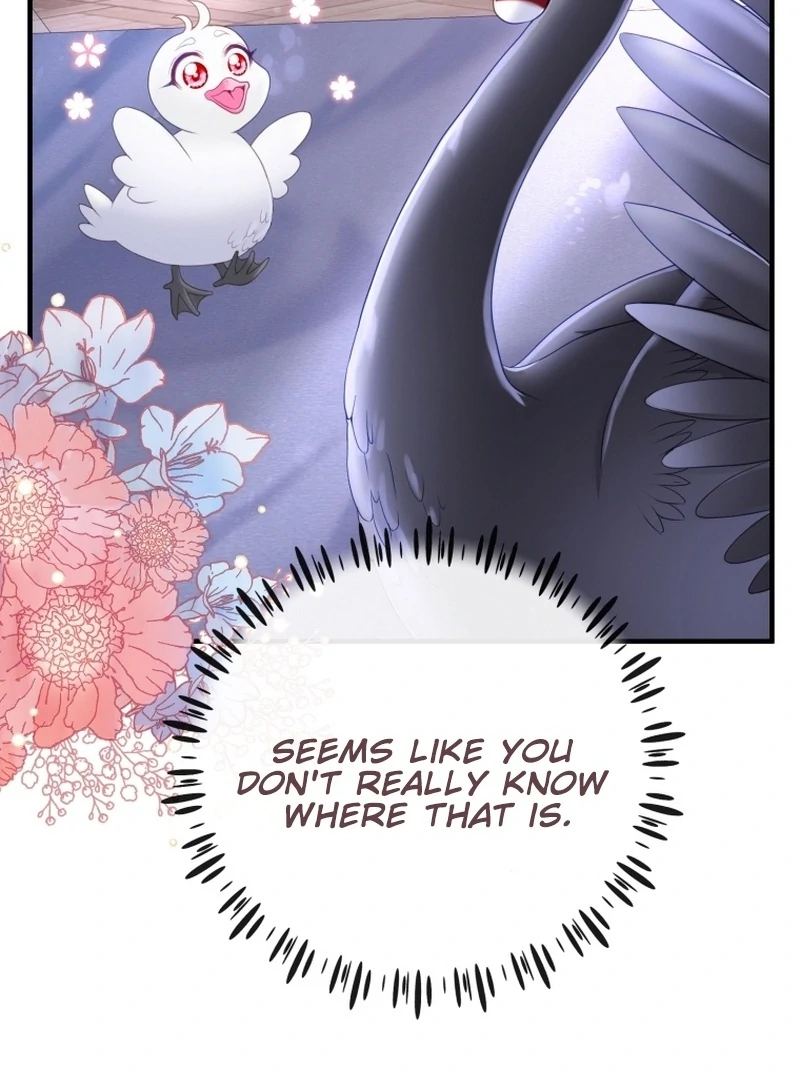 I Became The Black Swan Mother of The White Swan Princess Chapter 5 - page 26