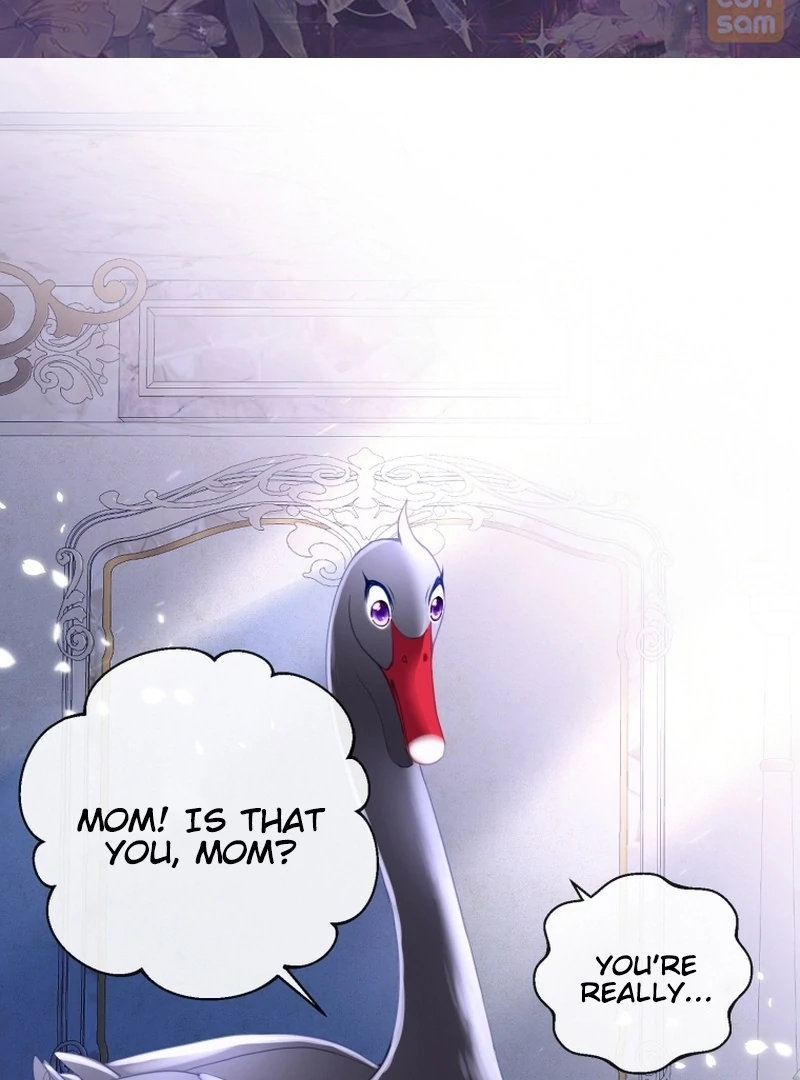 I Became The Black Swan Mother of The White Swan Princess Chapter 5 - page 2
