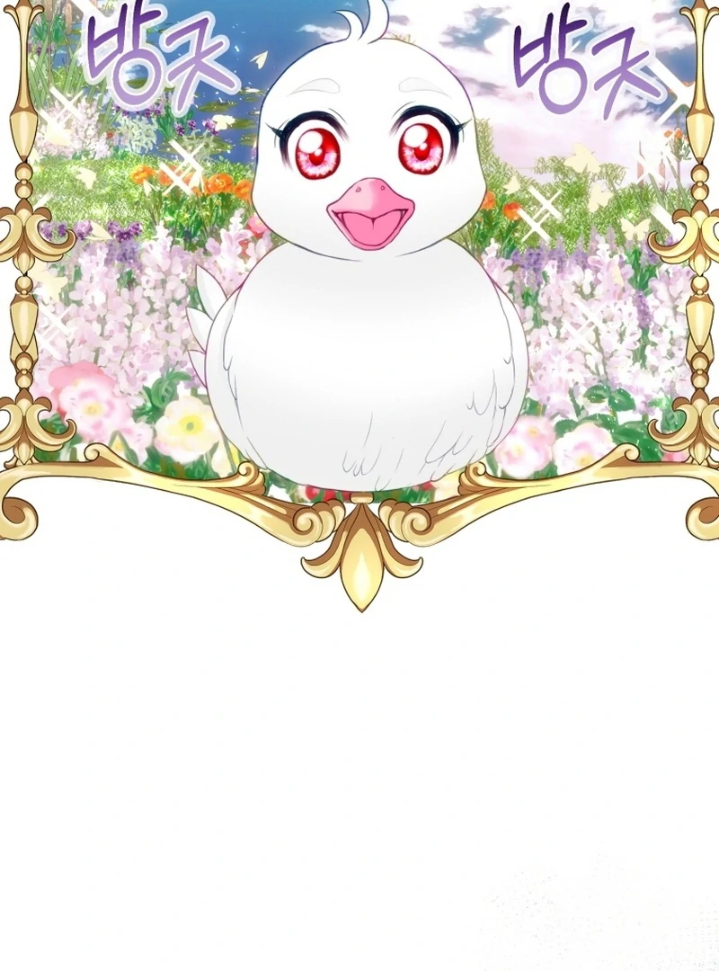 I Became The Black Swan Mother of The White Swan Princess Chapter 5 - page 32