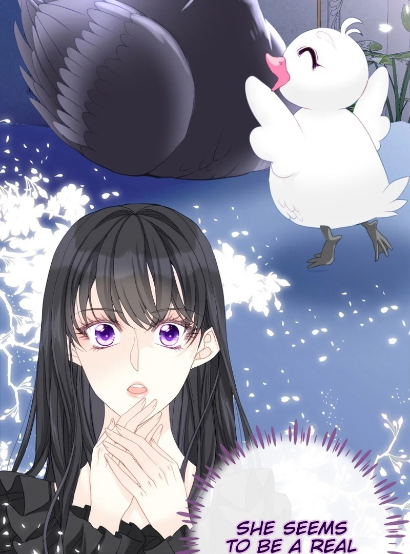 I Became The Black Swan Mother of The White Swan Princess Chapter 5 - page 3