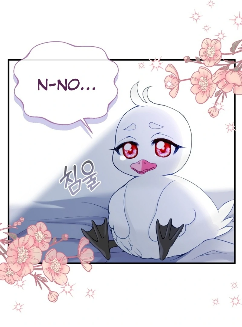 I Became The Black Swan Mother of The White Swan Princess Chapter 5 - page 8