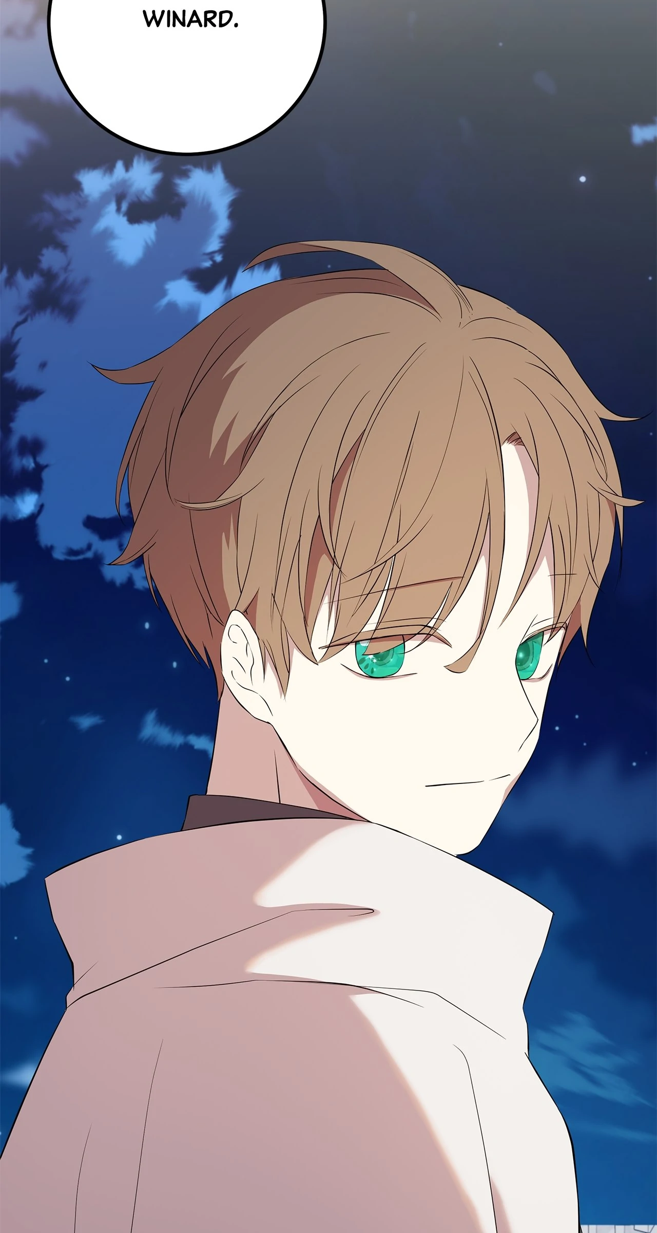 Heroine's Shares for Sale Chapter 96 - page 29