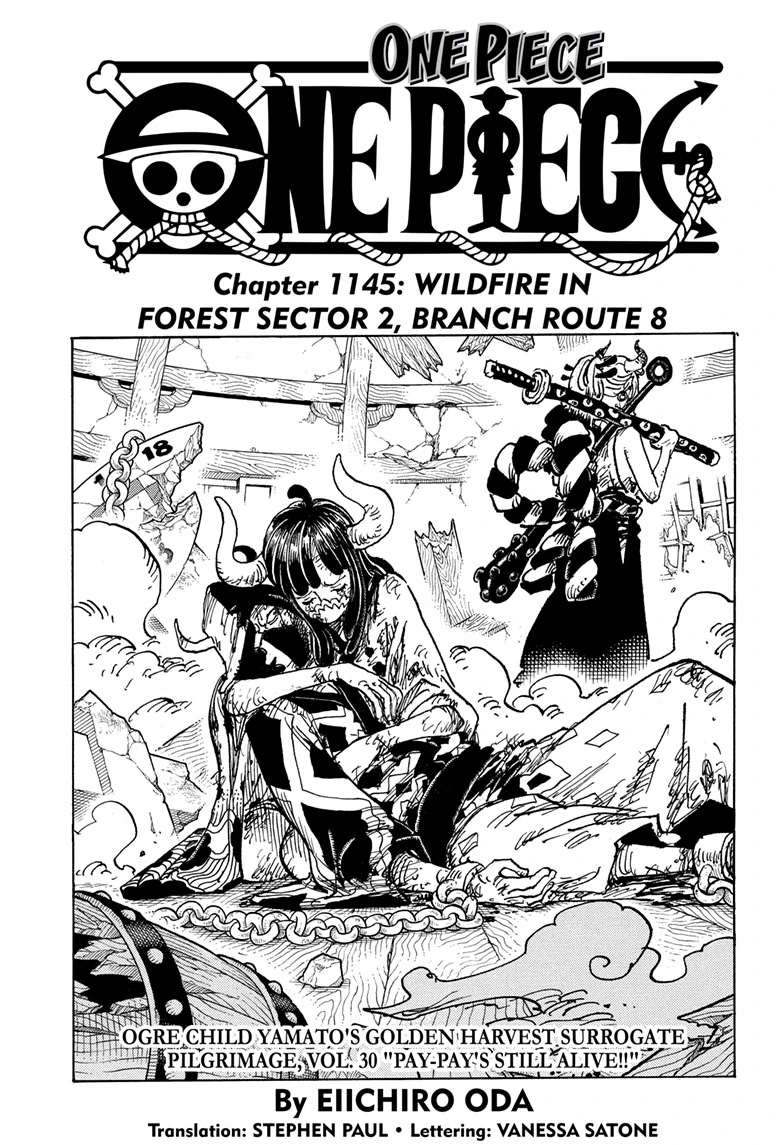 One Piece Chapter 1145 - page 3