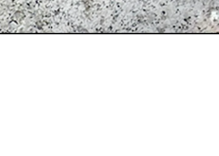 The Queen’s Life was At Stake Chapter 62 - page 42