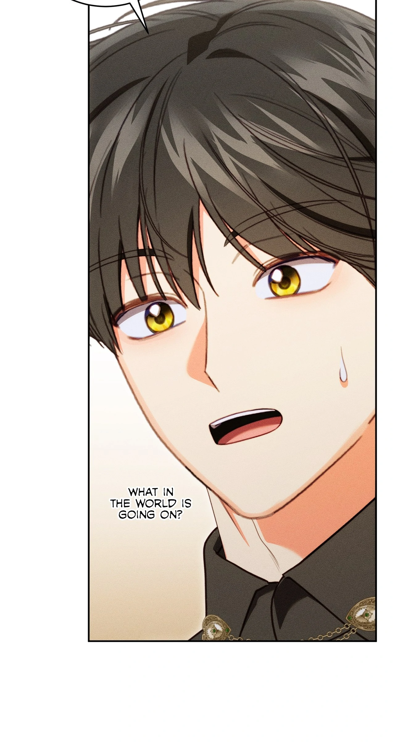 Becoming the Lady of the Cursed Ducal House Chapter 79 - page 63