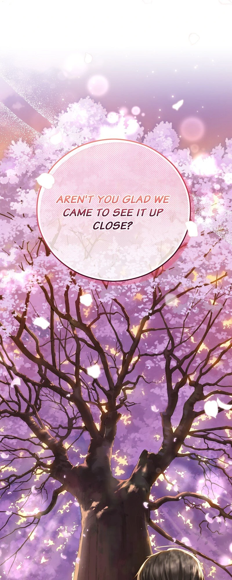 When Cinderella's Magic Fades Away Chapter 56 - page 51