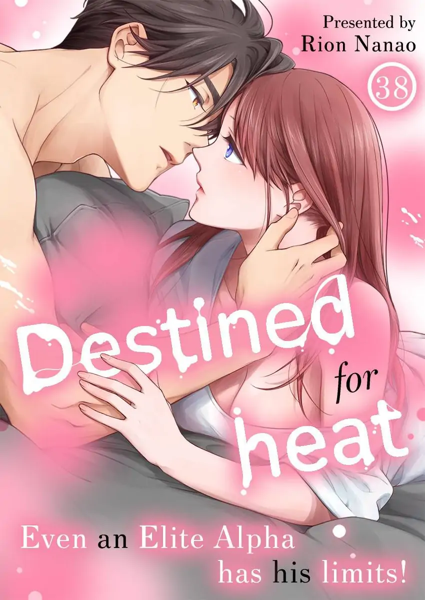 Destiny in the Heat ~A Reason to Bind to an Elite Alpha~ Chapter 38 - page 1