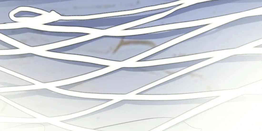 Lang Xiaojie He Ta De Huli Meimei Chapter 64 - page 11