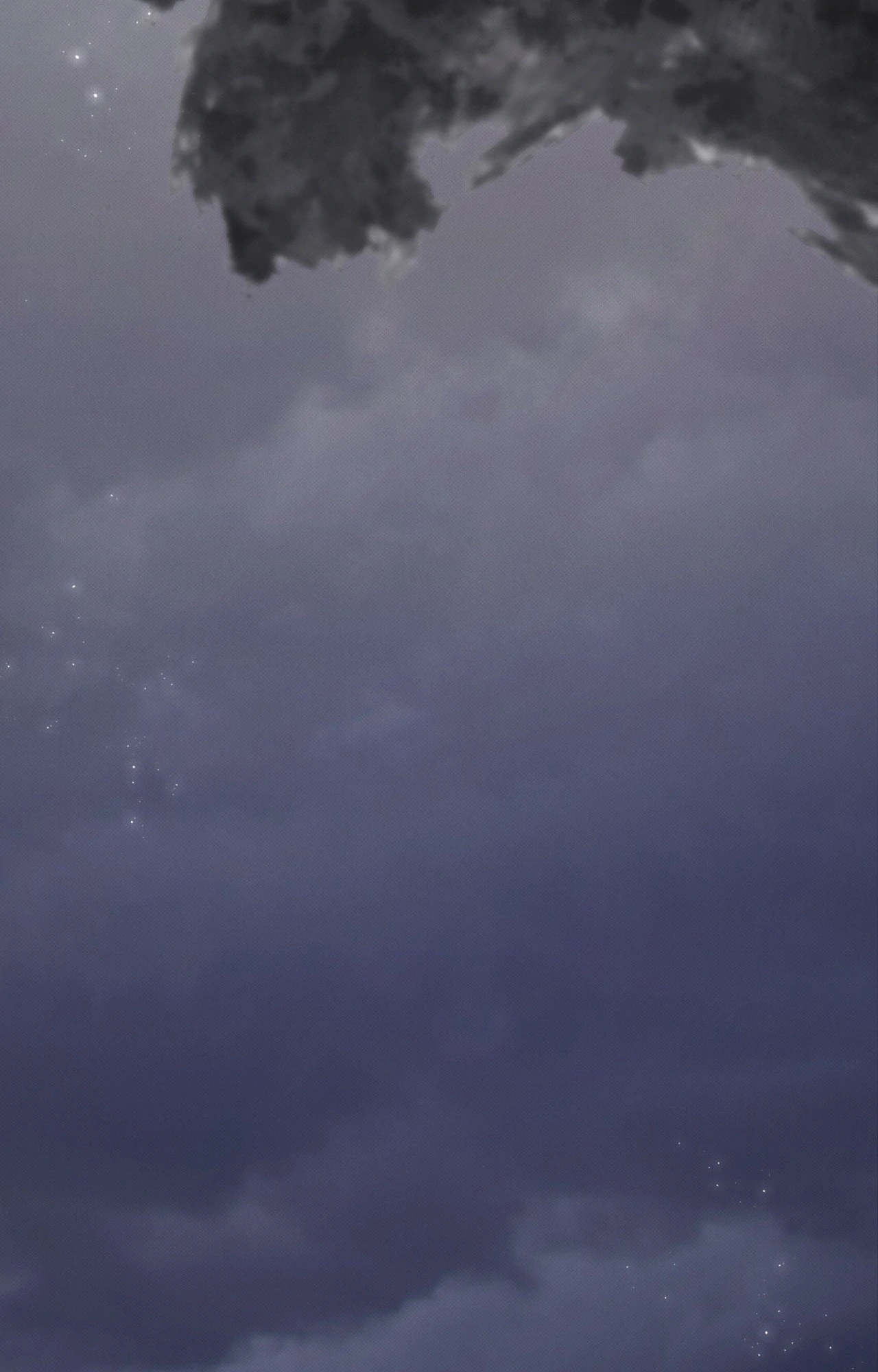 The Queen's Secret Lessons Chapter 54 - page 54