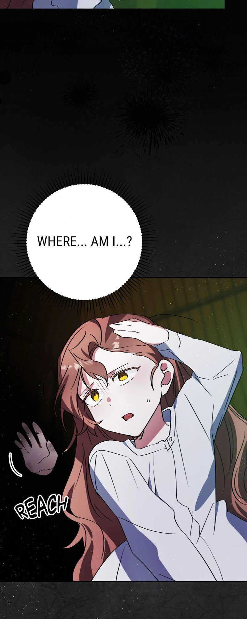 I Thought I was the Real Daughter Chapter 49 - page 14