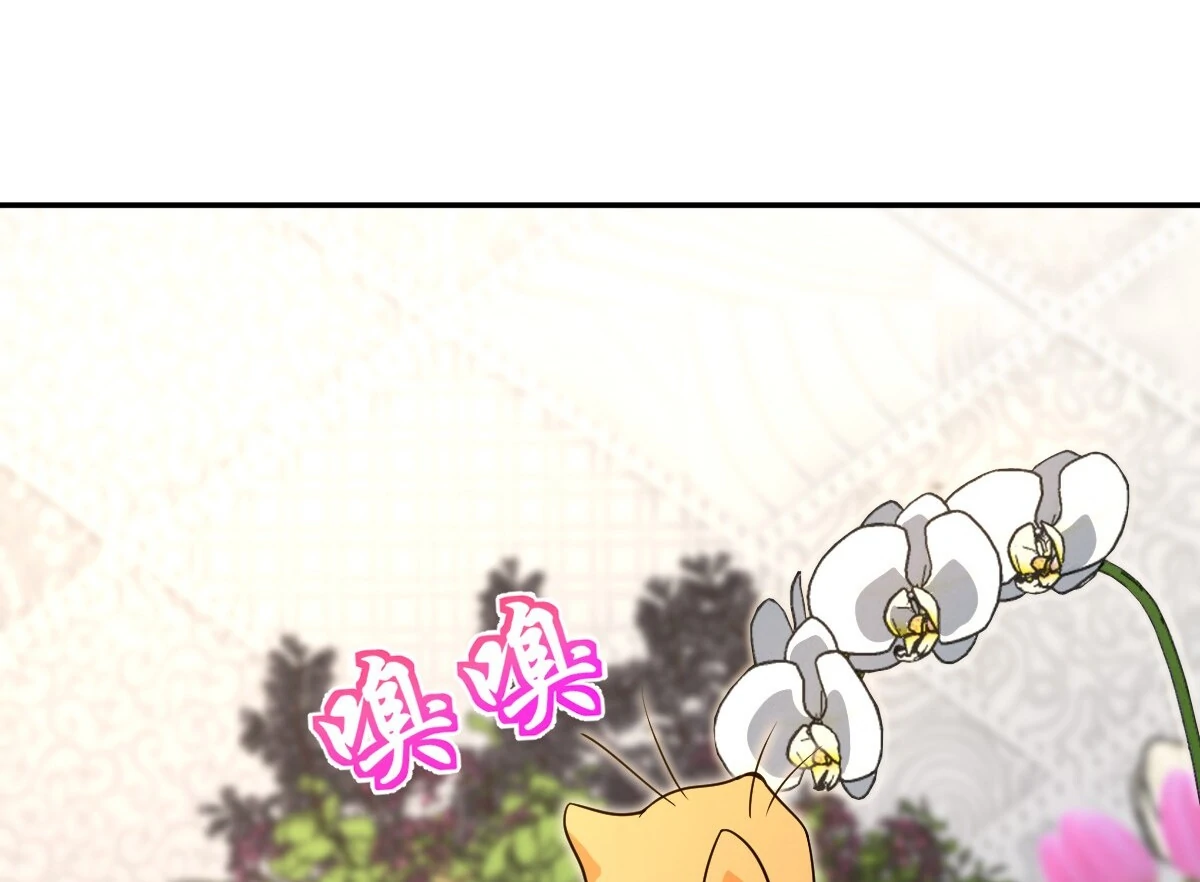 My Wife Is From a Thousand Years Ago Chapter 380 - page 58