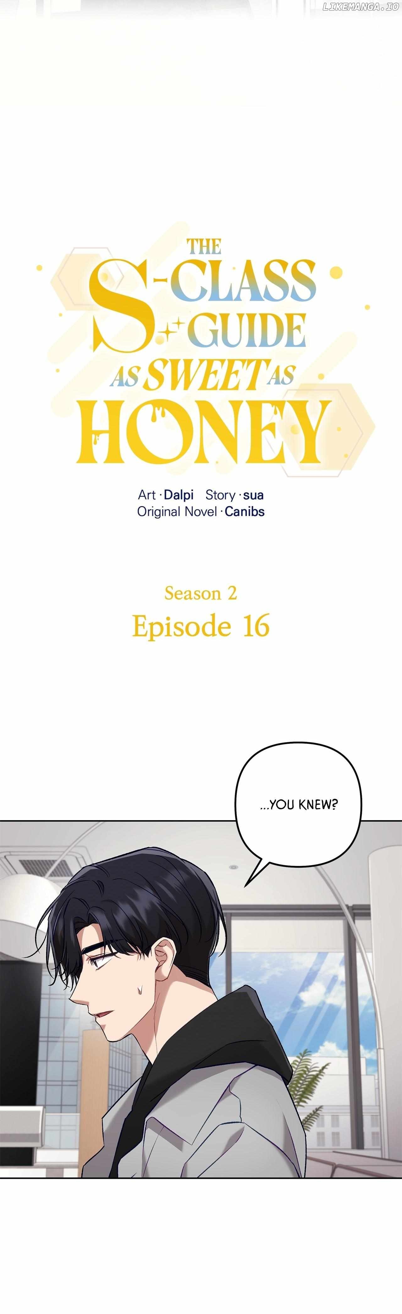 The S-Class Guide as Sweet as Honey Chapter 61 - page 15