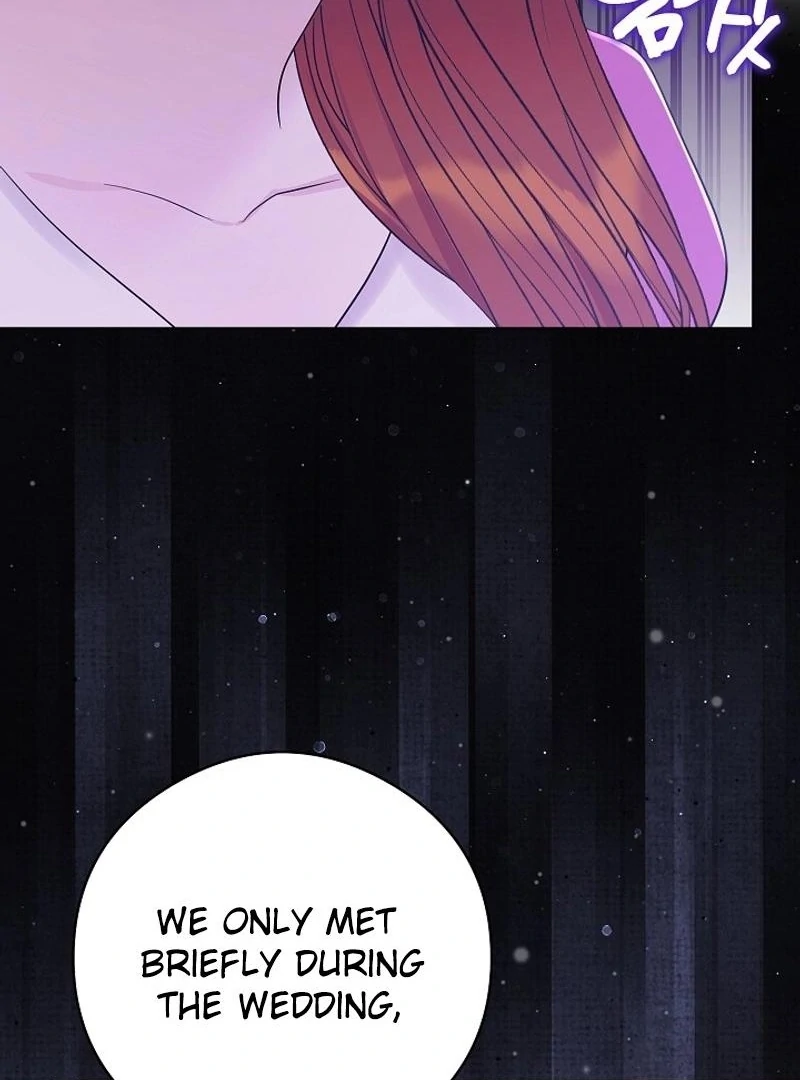 The Purpose of Marriage Chapter 23 - page 114