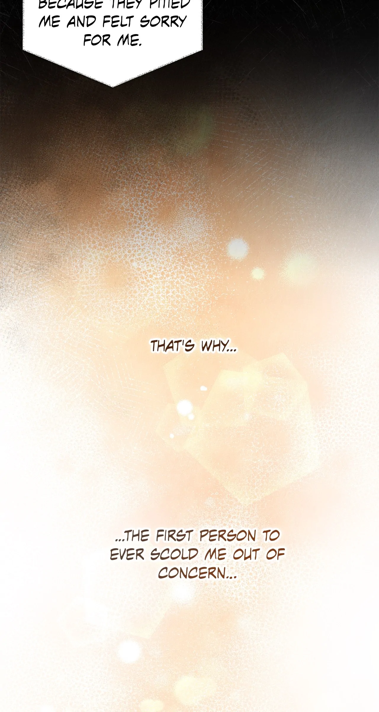 How the Sidekick Prince Lives Again Chapter 29 - page 17