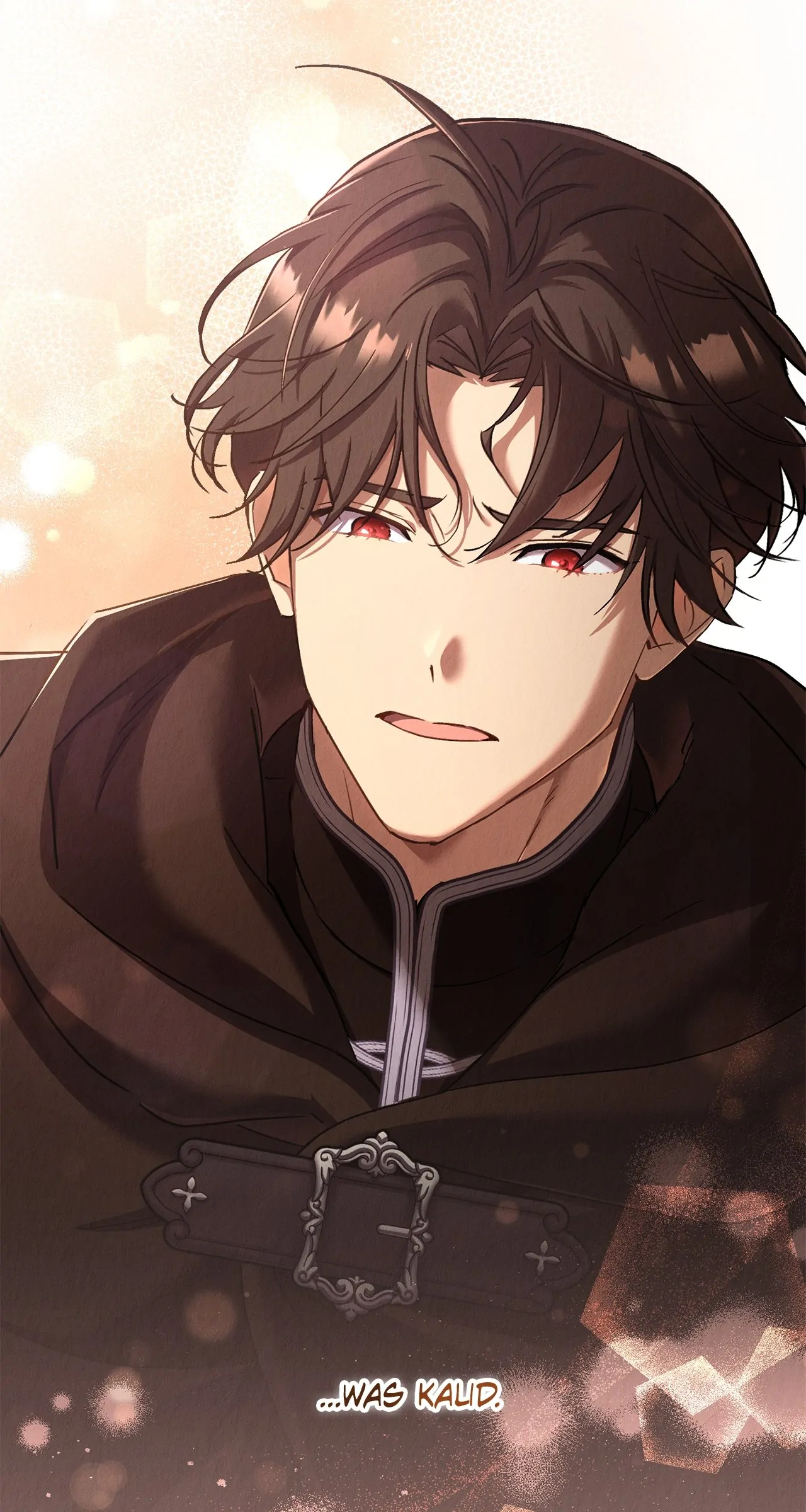 How the Sidekick Prince Lives Again Chapter 29 - page 18