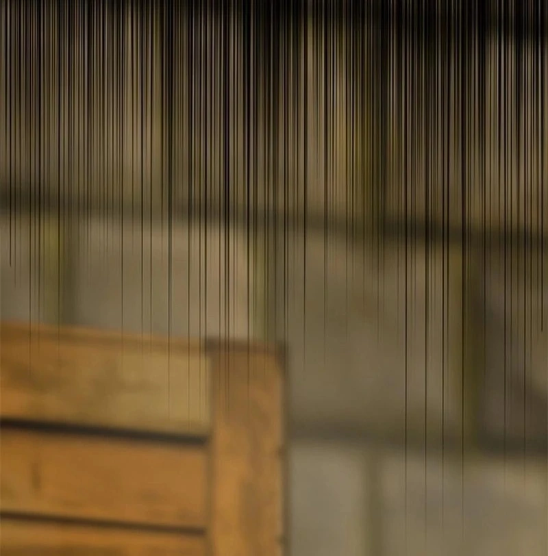 I Need Someone to Stop My Older Brothers Chapter 32 - page 12