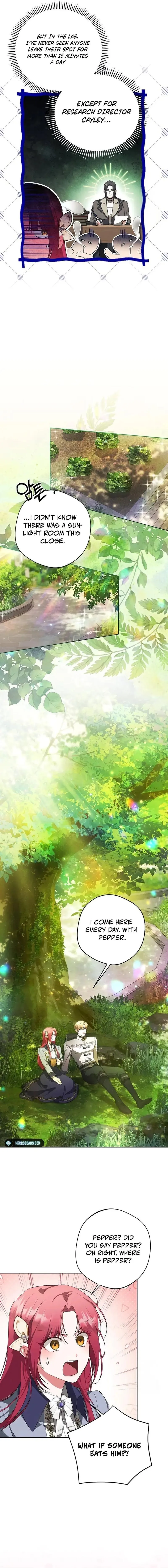 There Are No Benefits for the Possessor Chapter 11 - page 5