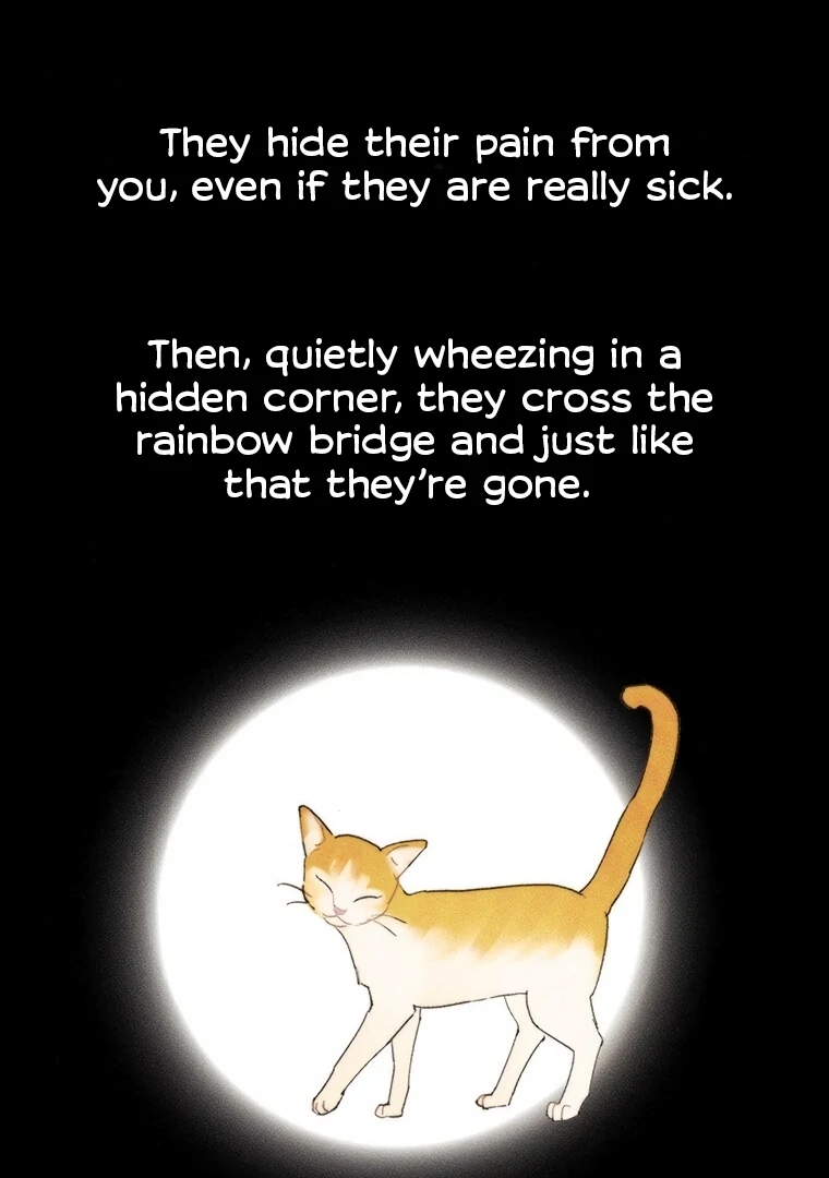 They Say Goblins Don't Know How To Cry Chapter 17 - page 30