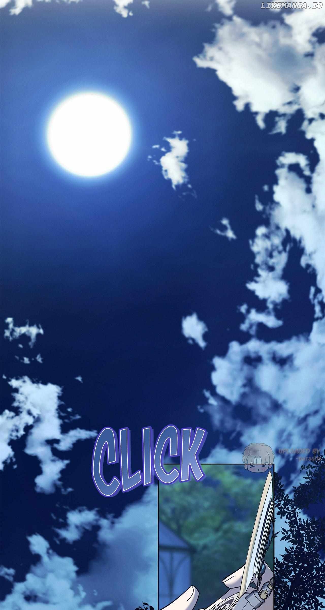 To The Witch Who Forgot The Bird Chapter 16 - page 4