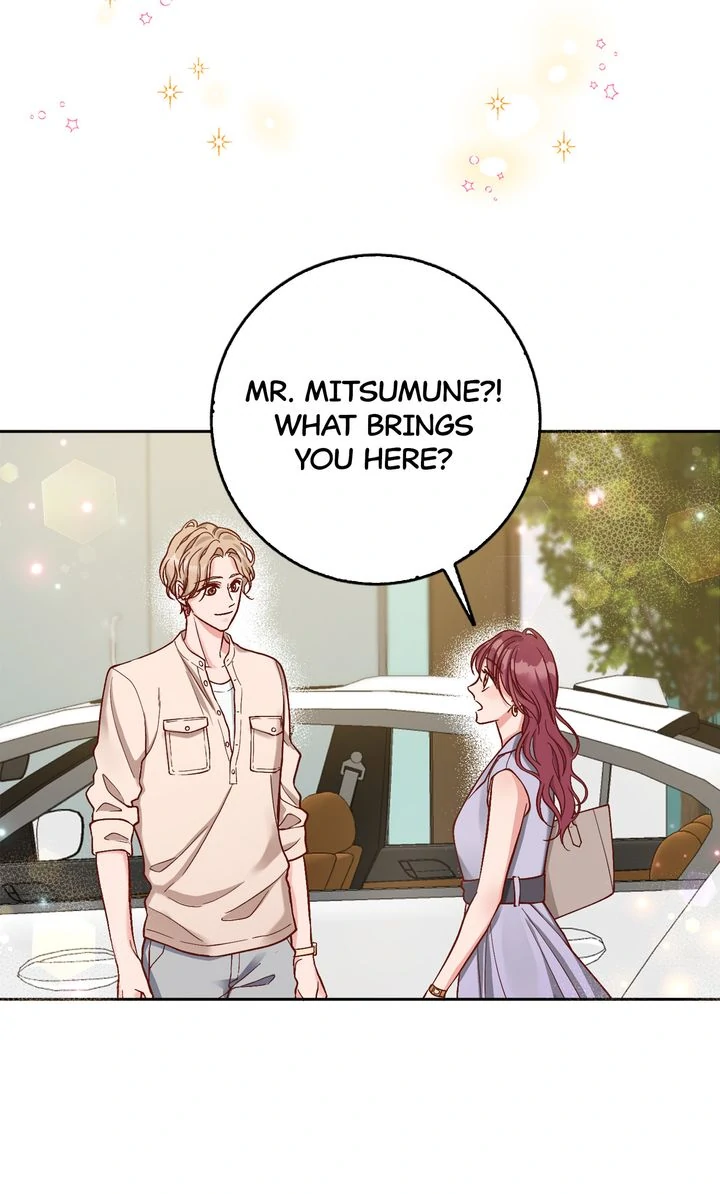 Business Marriage - If You Fall in Love, We'll Get a Divorce Chapter 22 - page 74