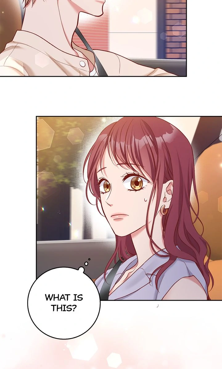 Business Marriage - If You Fall in Love, We'll Get a Divorce Chapter 23 - page 5