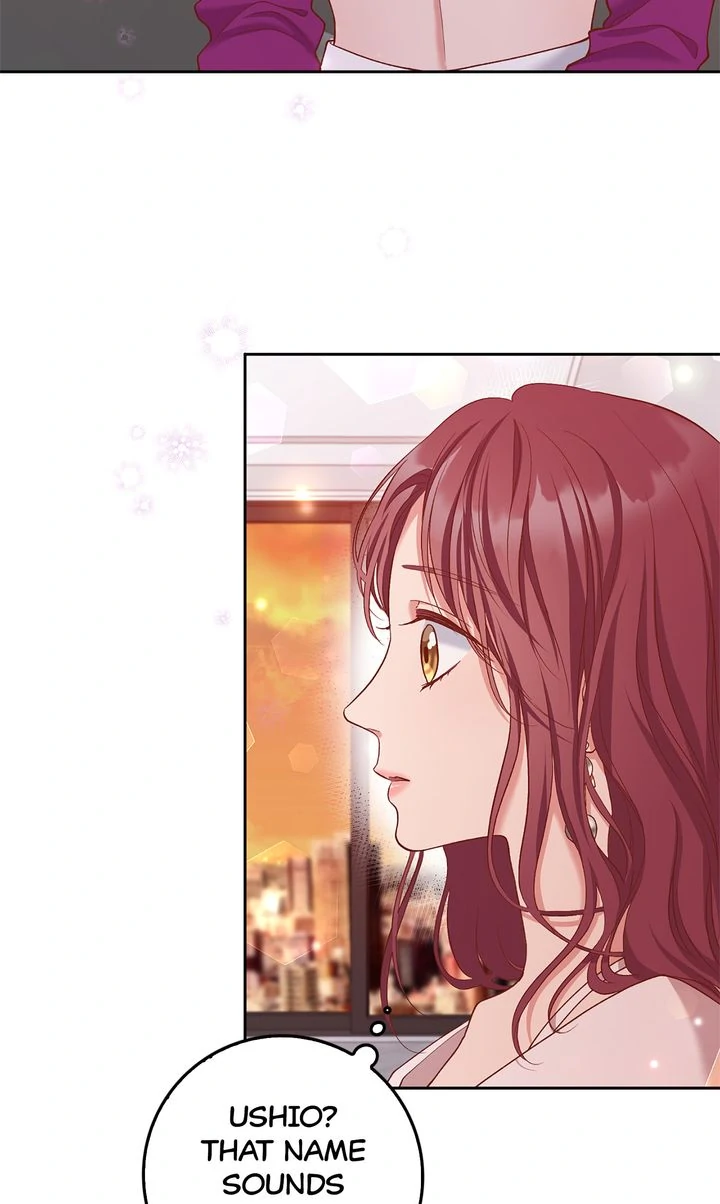 Business Marriage - If You Fall in Love, We'll Get a Divorce Chapter 29 - page 20