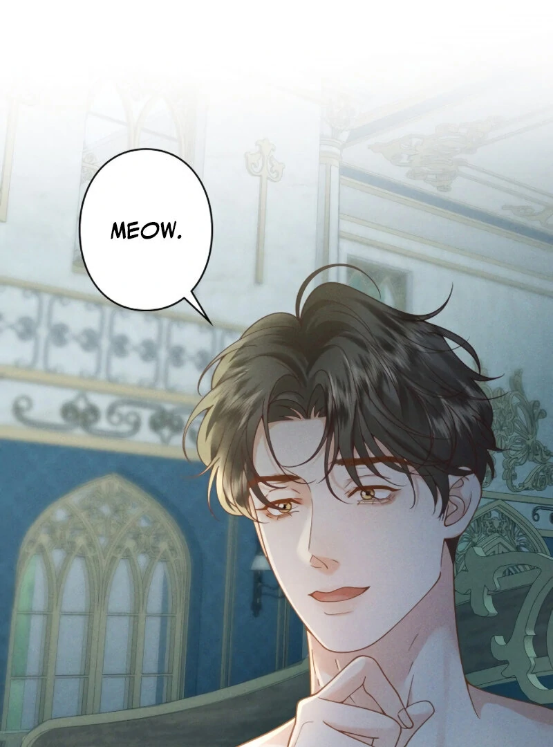 I Ran Away With My Contracted Husband Chapter 1 - page 23