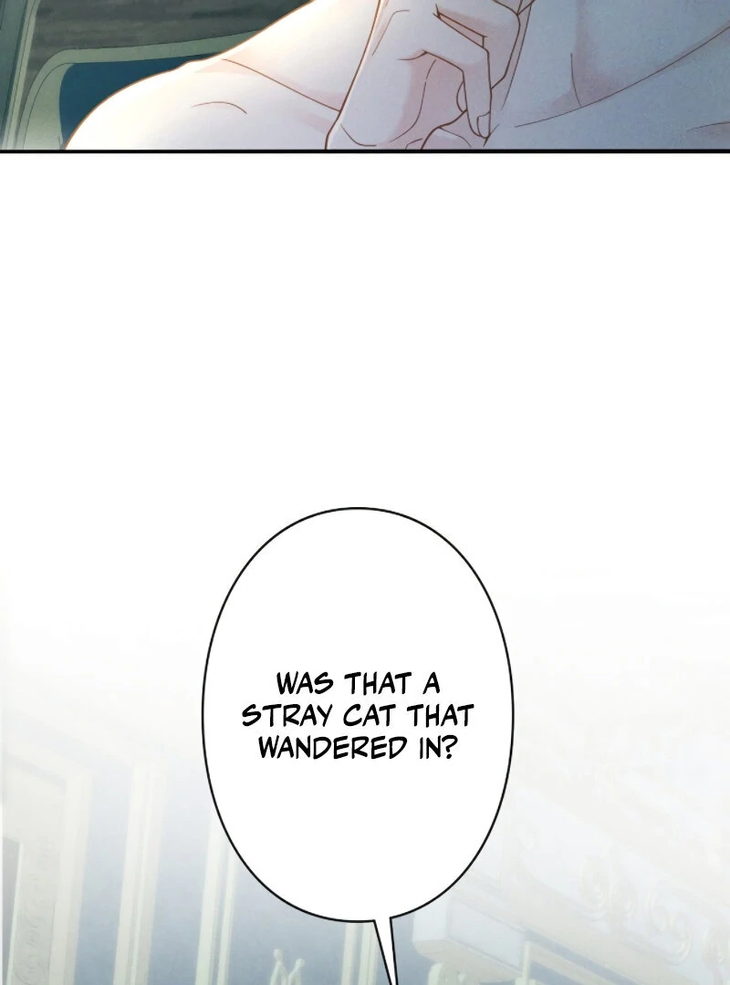 I Ran Away With My Contracted Husband Chapter 1 - page 24