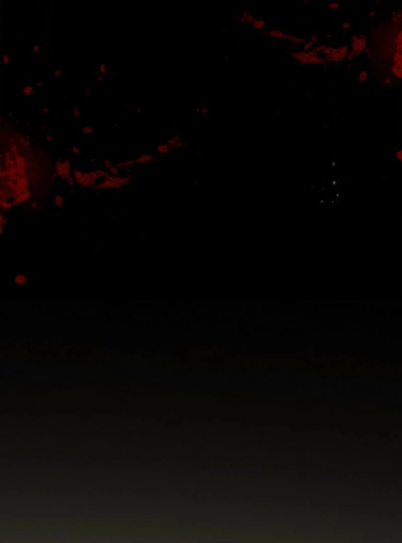 I Reincarnated as a Parenting Story Extra Chapter 1 - page 9