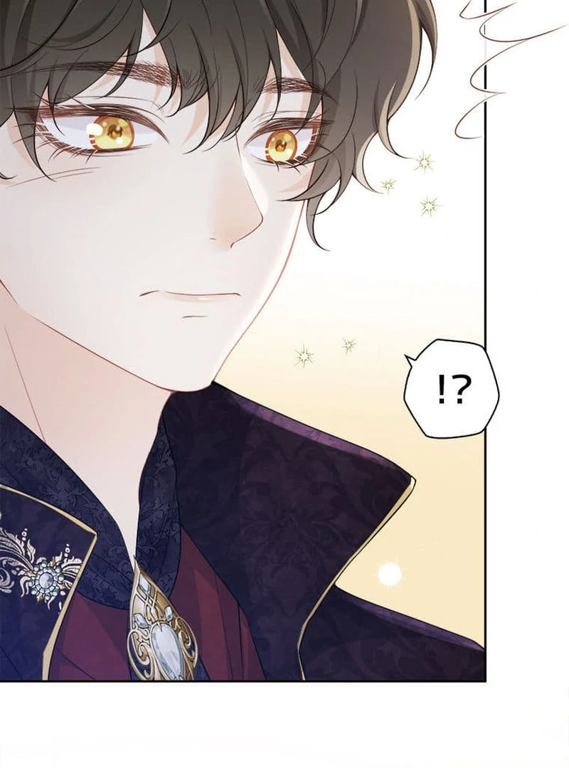 I wish to annul the engagement Chapter 9 - page 8