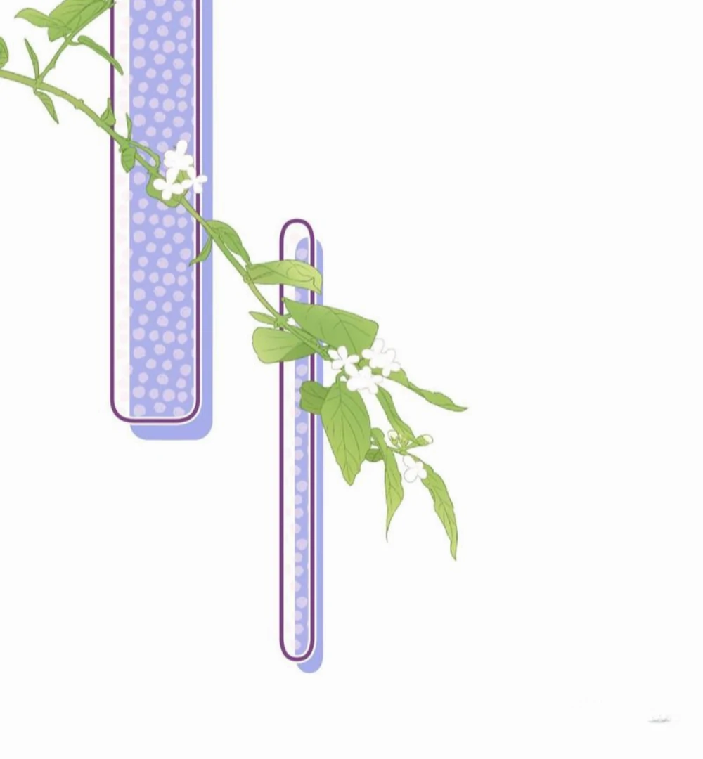 Divorce, Then A Comeback with Billions Chapter 2 - page 50