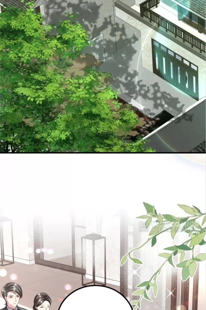 Divorce, Then A Comeback with Billions Chapter 18 - page 19