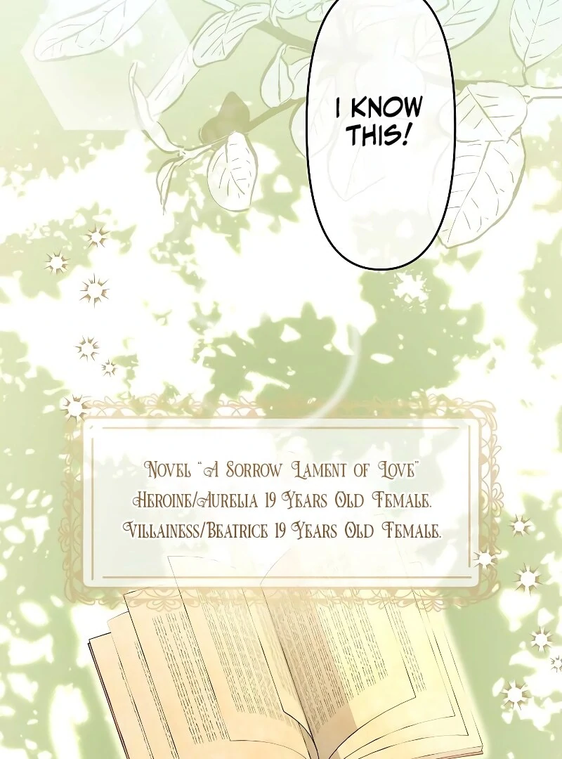 I Tried to be a Villainess, But Now I'm Being Obsessed Over?! Chapter 1 - page 11