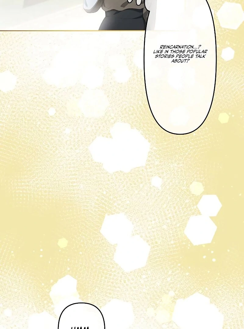 I Tried to be a Villainess, But Now I'm Being Obsessed Over?! Chapter 1 - page 28