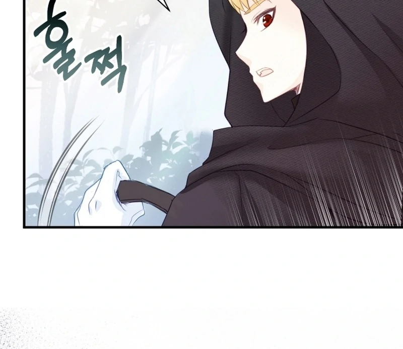 I Became The Black Swan Mother of The White Swan Princess Chapter 8 - page 17